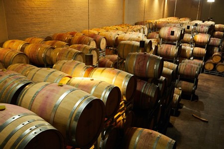 Role of Di Ammonium    Phosphate (DAP) in Wine Making 