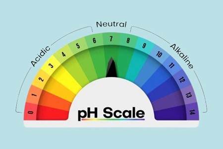 Ph | Definition, Range,    Indicator, Examples